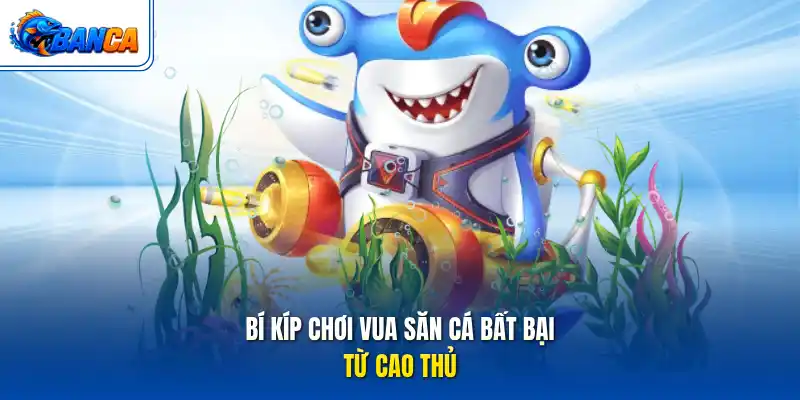 Bí kíp chơi Vua săn cá bất bại từ cao thủ