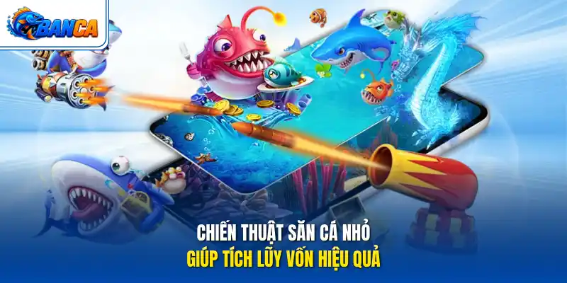 Chiến thuật săn cá nhỏ giúp tích lũy vốn hiệu quả