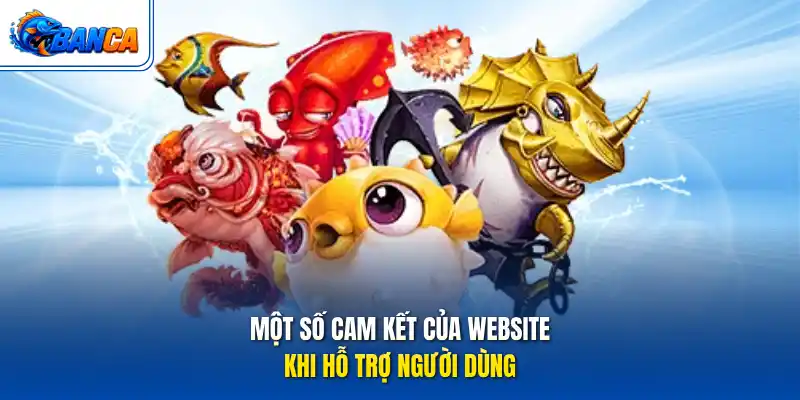 Một số cam kết của website khi hỗ trợ người dùng